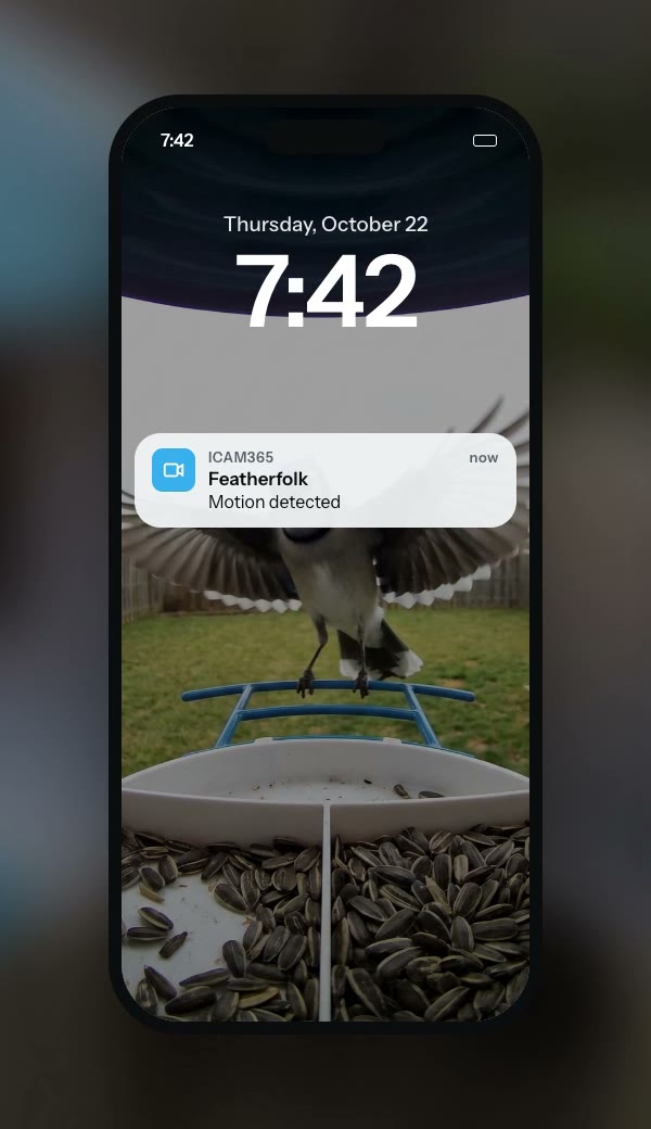 Lock-screen notification from iCam365: Featherfolk, Motion detected