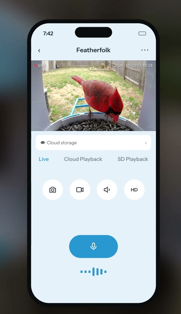 iCam365 live view: Live, Cloud Playback and SD Playback tabs with the microphone button below