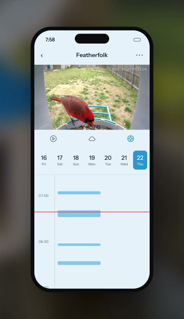 iCam365 playback screen: date strip and timeline with recorded clips